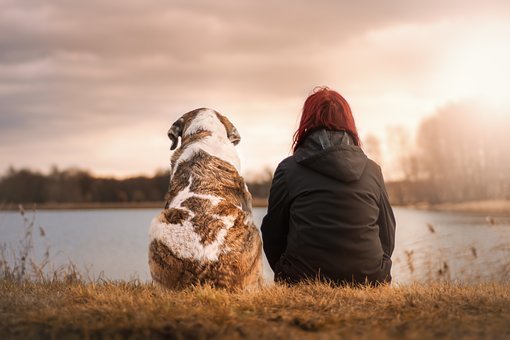 Hund und Frau von hinten am Seeufer