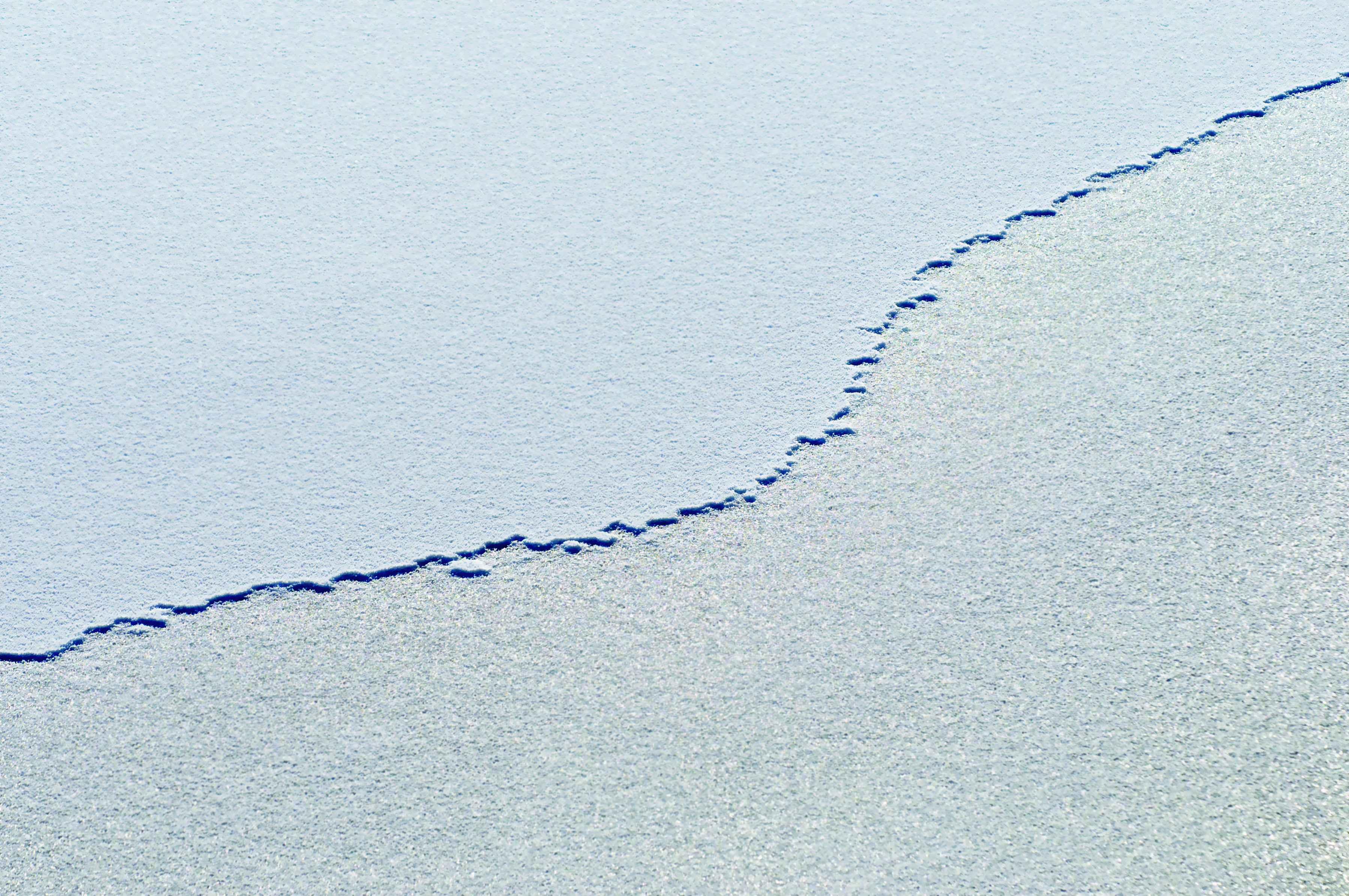 beyond-the-line